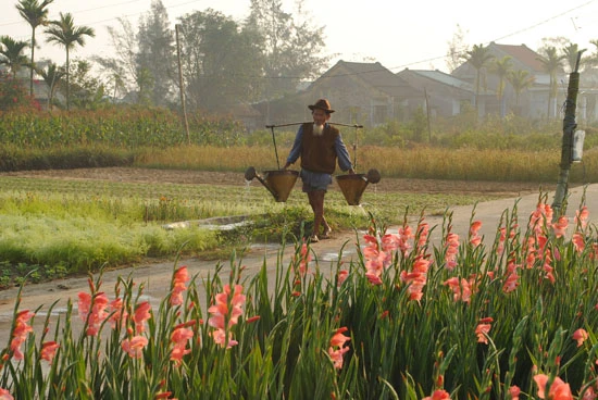 Lạc vào vương quốc hoa Hội An ảnh 6