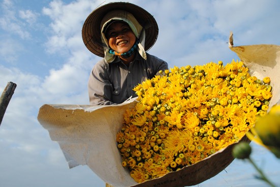 Lạc vào vương quốc hoa Hội An ảnh 15 Lạc vào vương quốc hoa Hội An ảnh 15