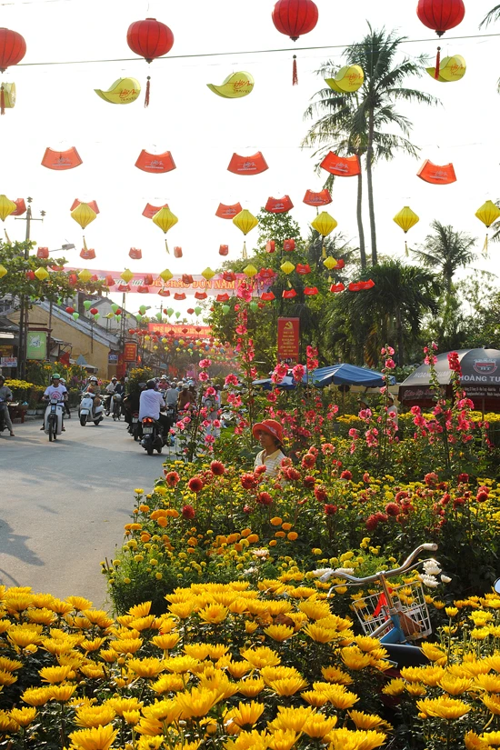 Lạc vào vương quốc hoa Hội An ảnh 16