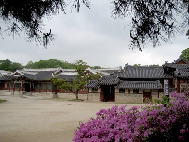 Cố cung Gyeongbok – niềm tự hào của kiến trúc cung điện phương Đông Archi - Cố cung Gyeongbok – niềm tự hào của kiến trúc cung điện phương Đông