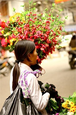 Người Hà Nội nhộn nhịp sắm đồ trang trí Tết ảnh 11 Người Hà Nội nhộn nhịp sắm đồ trang trí Tết