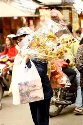 Người Hà Nội nhộn nhịp sắm đồ trang trí Tết