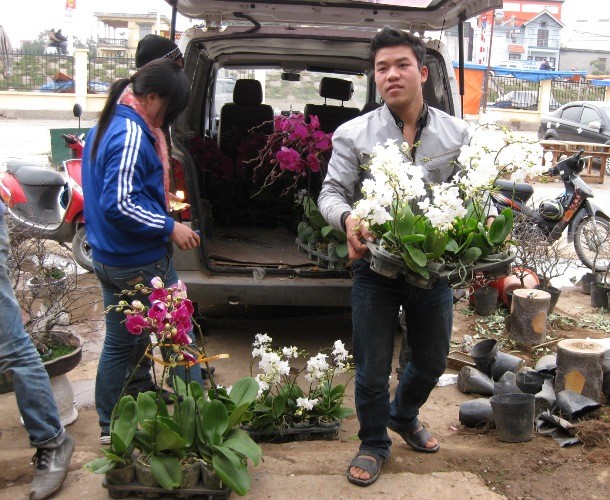 Các nhân viên phải thường xuyên chăm sóc hoa để cho ra những nhành hoa đẹp nhất Các nhân viên phải thường xuyên chăm sóc hoa để cho ra những nhành hoa đẹp nhất
