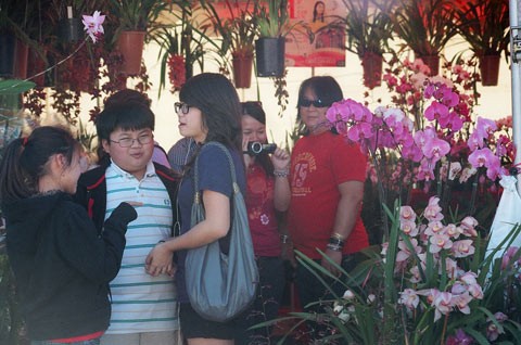 Khách hàng nhộn nhịp bên gian bán hoa. Hiện ở Phước Lộc Thọ chưa thấy bóng dáng của hoa đào hoa mai, chỉ có hoa huệ hoa lan.