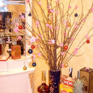 Cành đào ngày Tết.