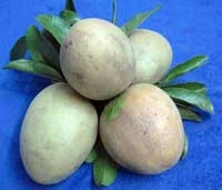 Mâm ngũ quả ngày Tết ảnh 6