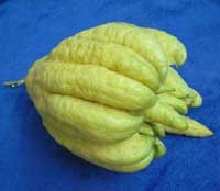 Mâm ngũ quả ngày Tết ảnh 3 Mâm ngũ quả ngày Tết ảnh 3
