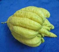 Mâm ngũ quả ngày Tết ảnh 3