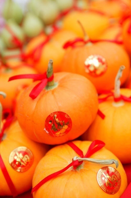 Singapore – Xuân đã về!. ảnh 2 Singapore – Xuân đã về!, Tin tức trong ngày,