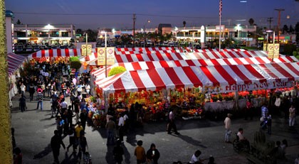 Sôi động chợ Tết Nam Cali ảnh 11