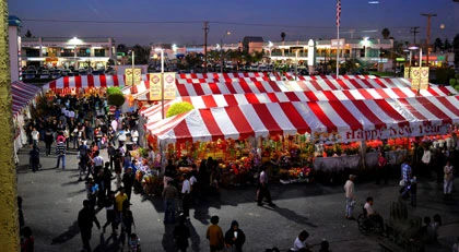 Sôi động chợ Tết Nam Cali ảnh 11