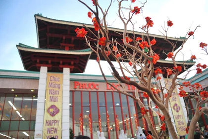 Sôi động chợ Tết Nam Cali ảnh 3