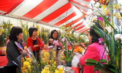 Sôi động chợ Tết Nam Cali ảnh 4