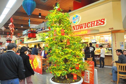 Sôi động chợ Tết Nam Cali ảnh 9