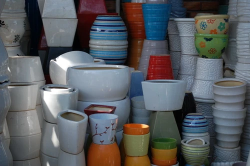 Rực rỡ những phố hoa tại Sài Gòn ảnh 19