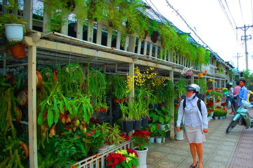 Rực rỡ những phố hoa tại Sài Gòn ảnh 6 Rực rỡ những phố hoa tại Sài Gòn ảnh 6