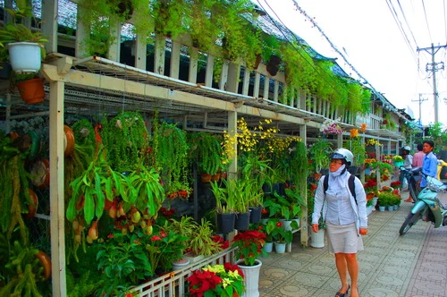 Rực rỡ những phố hoa tại Sài Gòn ảnh 6