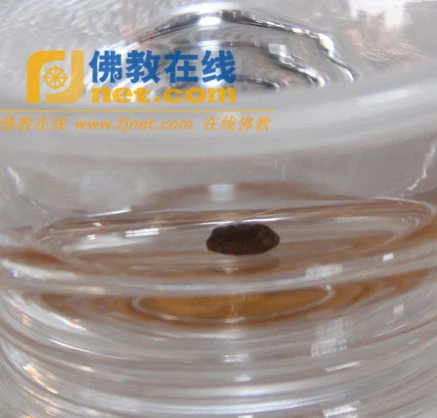 Trung Quốc: Xá lợi chân thân Phật Tổ tổ chức tại Đại Từ Các, tỉnh Hà Bắc ảnh 7 xaloi 7.png