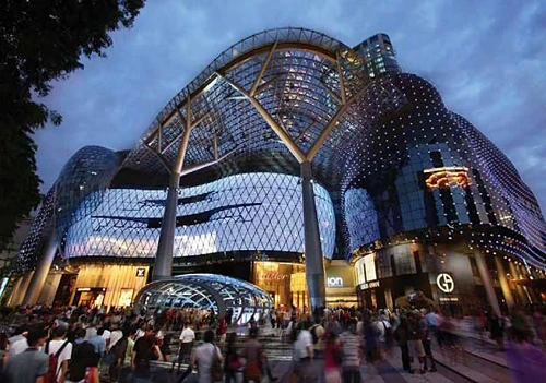Tới Singapore mua sắm ảnh 4