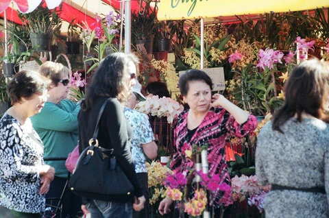 Đến hôm qua, chợ hoa bắt đầu dập dìu người ra vào. Cả người nước ngoài cũng đi ngắm hoa Tết.