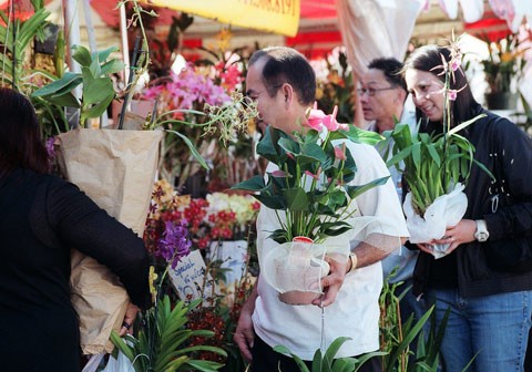 Người người háo hức chọn những giò lan đẹp nhất. Người người háo hức chọn những giò lan đẹp nhất.
