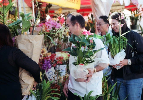 Người người háo hức chọn những giò lan đẹp nhất.