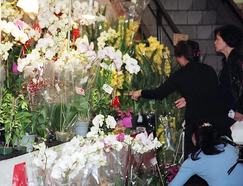 Giá hoa năm nay không tăng hơn so với năm ngoái nhiều. Giá trung bình mỗi bó lan là 12 USD.