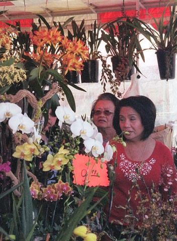 Khách xem hàng ở một gian hàng hoa lan bên trong thương xá. Khách xem hàng ở một gian hàng hoa lan bên trong thương xá.