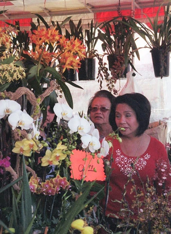 Khách xem hàng ở một gian hàng hoa lan bên trong thương xá.