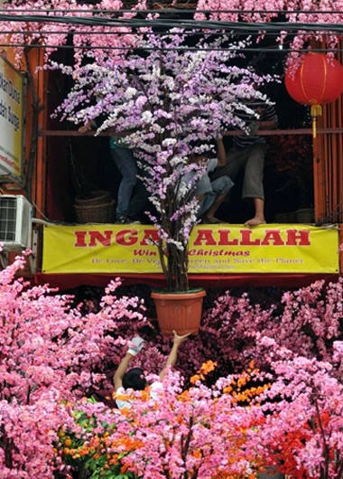 Cây hoa mùa xuân được bày bán ở Jakarta, Indonesia. Một số người nước này cũng ăn tết âm lịch.