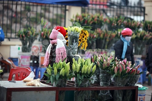Tấp nập chợ hoa ngày Tết ảnh 5 Tấp nập chợ hoa ngày Tết ảnh 5
