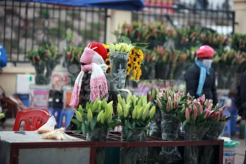 Tấp nập chợ hoa ngày Tết ảnh 5