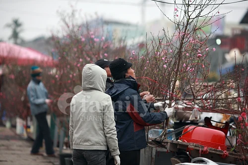 Tấp nập chợ hoa ngày Tết ảnh 12