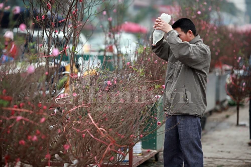 Tấp nập chợ hoa ngày Tết ảnh 10