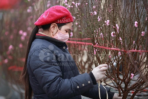 Tấp nập chợ hoa ngày Tết ảnh 11