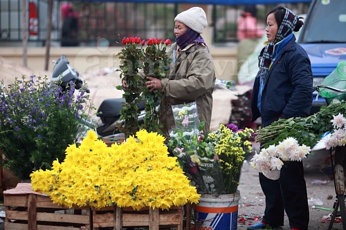 Tấp nập chợ hoa ngày Tết ảnh 1