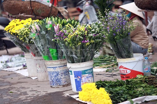 Tấp nập chợ hoa ngày Tết ảnh 4 Tấp nập chợ hoa ngày Tết ảnh 4