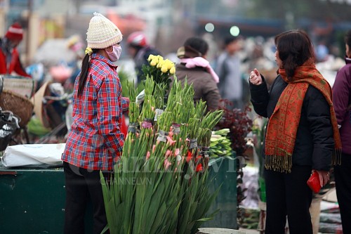Tấp nập chợ hoa ngày Tết ảnh 16 Tấp nập chợ hoa ngày Tết ảnh 16