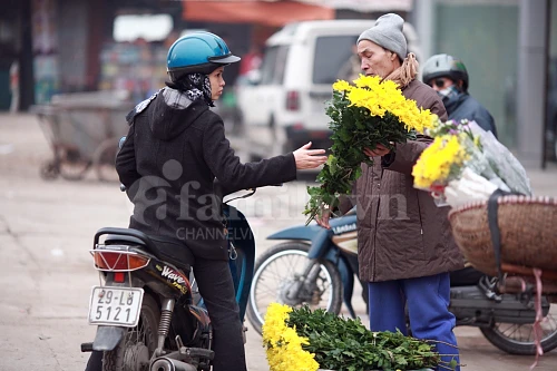 Tấp nập chợ hoa ngày Tết ảnh 7