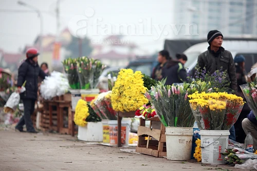 Tấp nập chợ hoa ngày Tết ảnh 3