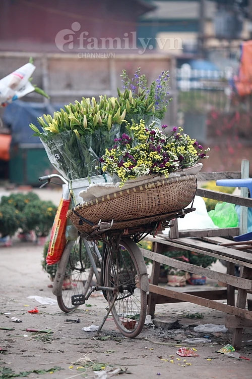 Tấp nập chợ hoa ngày Tết ảnh 6