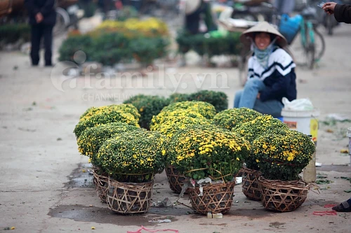 Tấp nập chợ hoa ngày Tết ảnh 14