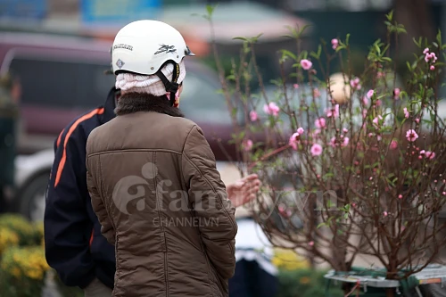 Tấp nập chợ hoa ngày Tết ảnh 13