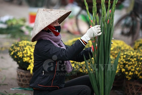 Tấp nập chợ hoa ngày Tết ảnh 9 Tấp nập chợ hoa ngày Tết ảnh 9