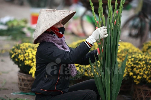 Tấp nập chợ hoa ngày Tết ảnh 9