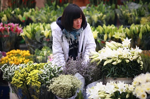 Tấp nập chợ hoa ngày Tết ảnh 17