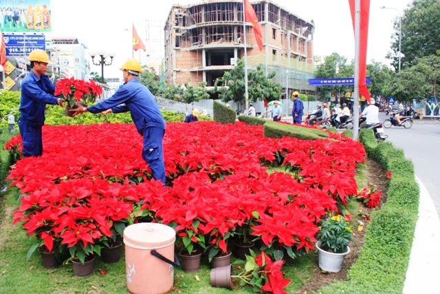 Sắc xuân đã về trên đường phố Nha Trang ảnh 9