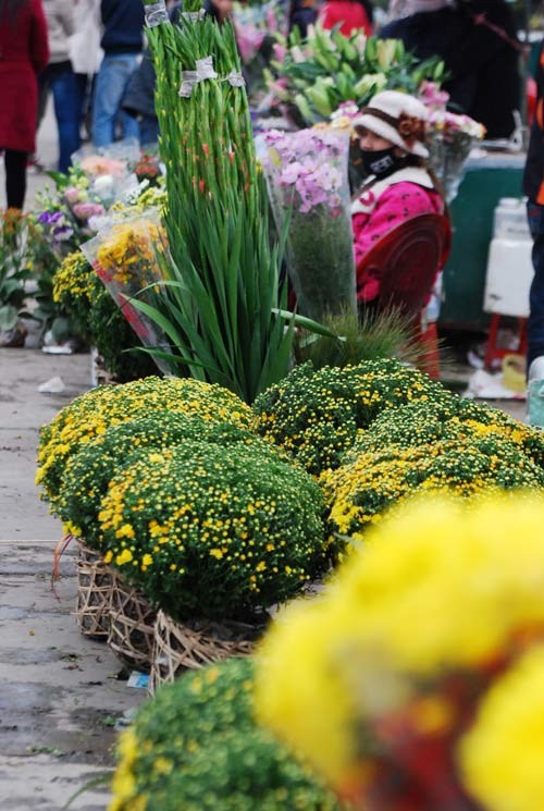 Hoa đào được bày bán nhiều nhất ở chợ hoa. Tiếp đến là hoa cúc. Mỗi khóm cúc này có giá từ 50.000-70.000 đồng. Hoa cúc đẹp, sang và bền nên rất nhiều người mua về trồng dịp Tết. Hoa violet và lay ơn khó có thể thiếu trong mỗi gia đình Hà Nội vào dịp Tết. Hoa ly thơm, bền và sang trọng. Thiếu nữ Hà Nội đi chợ hoa. Chợ hoa Tết không chỉ là nơi mua bán, đó còn là những khoảnh khắc thể hiện tình yêu thiên nhiên, sự thư thái của mỗi người khi xuân về. Vì thế, đi chợ hoa không chỉ có các bà, các mẹ, các chị mà nhiều bậc nam nhi cũng đến, chọn hoa và mang về nhà. Sau khi dạo nhiều vòng, mỗi gia đình đều có "sản phẩm" mang về. Và dĩ nhiên không thể thiếu một cành đào. Đào cũng theo những chuyến xe mang mùa xuân đến khắp ngõ ngách của thành phố Nhộn nhịp chợ hoa Tết