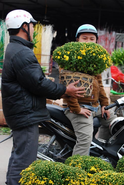 Hoa đào được bày bán nhiều nhất ở chợ hoa. Tiếp đến là hoa cúc. Mỗi khóm cúc này có giá từ 50.000-70.000 đồng. Hoa cúc đẹp, sang và bền nên rất nhiều người mua về trồng dịp Tết. Hoa violet và lay ơn khó có thể thiếu trong mỗi gia đình Hà Nội vào dịp Tết. Hoa ly thơm, bền và sang trọng. Thiếu nữ Hà Nội đi chợ hoa. Chợ hoa Tết không chỉ là nơi mua bán, đó còn là những khoảnh khắc thể hiện tình yêu thiên nhiên, sự thư thái của mỗi người khi xuân về. Vì thế, đi chợ hoa không chỉ có các bà, các mẹ, các chị mà nhiều bậc nam nhi cũng đến, chọn hoa và mang về nhà. Sau khi dạo nhiều vòng, mỗi gia đình đều có "sản phẩm" mang về. Và dĩ nhiên không thể thiếu một cành đào. Đào cũng theo những chuyến xe mang mùa xuân đến khắp ngõ ngách của thành phố Nhộn nhịp chợ hoa Tết