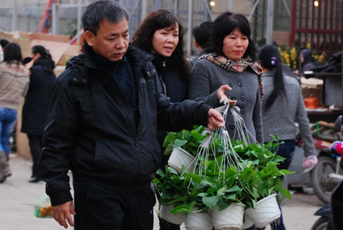 Nhộn nhịp chợ hoa Tết
